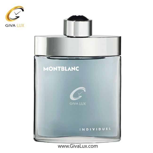   Mont Blanc Individuel.jpg